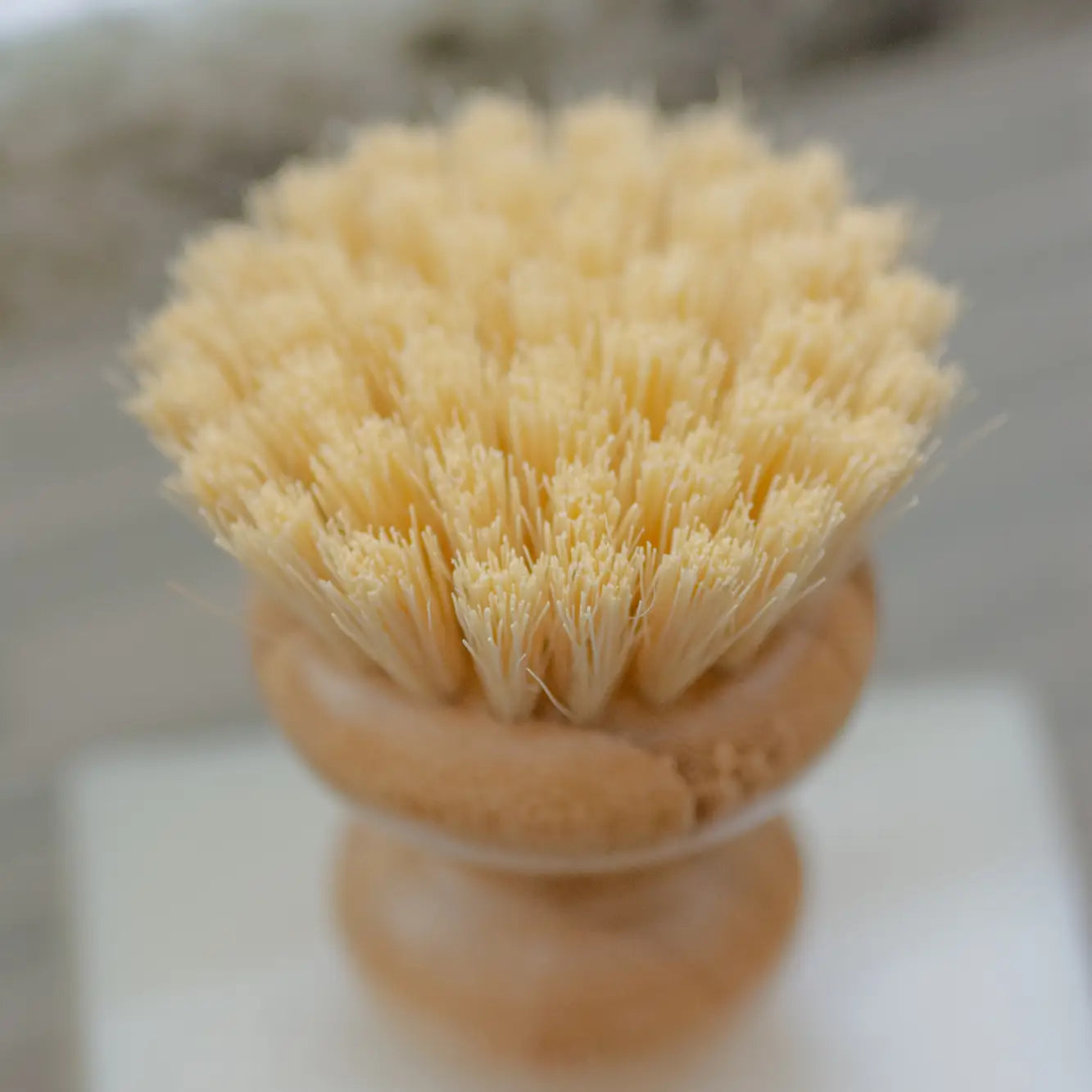 Dish Washing Brush